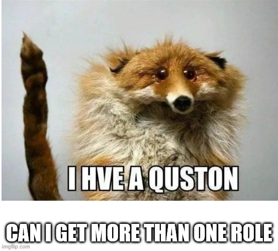 I hve a quston | CAN I GET MORE THAN ONE ROLE | image tagged in i hve a quston | made w/ Imgflip meme maker