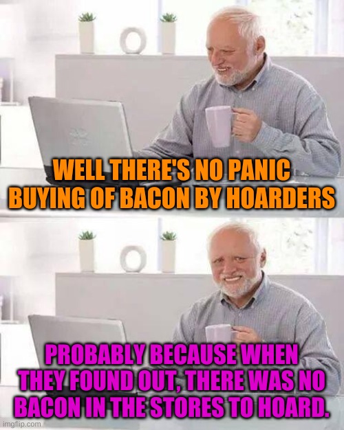 Will work for bacon. | WELL THERE'S NO PANIC BUYING OF BACON BY HOARDERS; PROBABLY BECAUSE WHEN THEY FOUND OUT, THERE WAS NO BACON IN THE STORES TO HOARD. | image tagged in memes,hide the pain harold | made w/ Imgflip meme maker