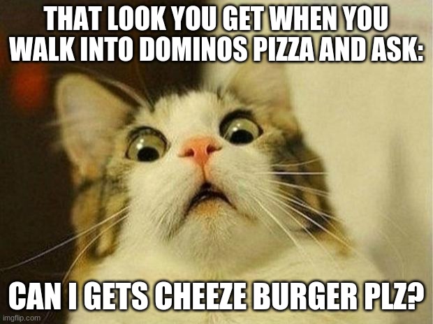 Scared Cat | THAT LOOK YOU GET WHEN YOU WALK INTO DOMINOS PIZZA AND ASK:; CAN I GETS CHEEZE BURGER PLZ? | image tagged in memes,scared cat | made w/ Imgflip meme maker