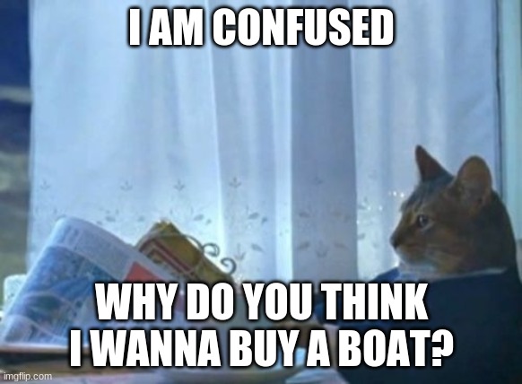 I Should Buy A Boat Cat | I AM CONFUSED; WHY DO YOU THINK I WANNA BUY A BOAT? | image tagged in memes,i should buy a boat cat | made w/ Imgflip meme maker