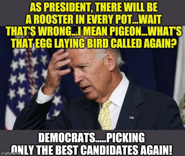 Dementia, its no joke...unless you think your presidential candidate can conceal it. | AS PRESIDENT, THERE WILL BE A ROOSTER IN EVERY POT...WAIT THAT'S WRONG...I MEAN PIGEON...WHAT'S THAT EGG LAYING BIRD CALLED AGAIN? DEMOCRATS.....PICKING ONLY THE BEST CANDIDATES AGAIN! | image tagged in joe biden worries,dementia | made w/ Imgflip meme maker