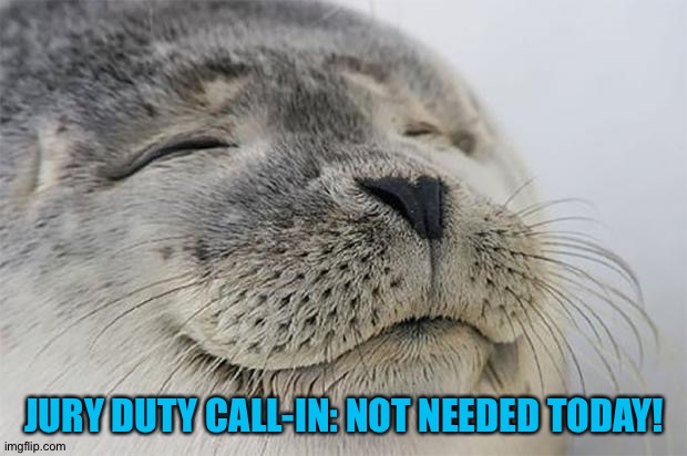 No jury duty today! | JURY DUTY CALL-IN: NOT NEEDED TODAY! | image tagged in memes,satisfied seal | made w/ Imgflip meme maker