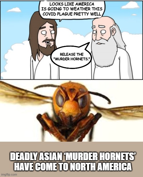 Murder Hornets?  Who names these things? | LOOKS LIKE AMERICA IS GOING TO WEATHER THIS COVID PLAGUE PRETTY WELL; RELEASE THE "MURDER HORNETS."; DEADLY ASIAN ‘MURDER HORNETS’ HAVE COME TO NORTH AMERICA | image tagged in jesus and god,funny,funny memes,political meme | made w/ Imgflip meme maker