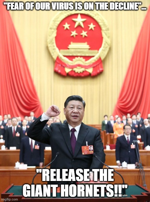 Release the Asian Hornets | "FEAR OF OUR VIRUS IS ON THE DECLINE"... "RELEASE THE GIANT HORNETS!!" | image tagged in xi jinping,murder hornets,asian giant hornet,covid-19,made in china,china virus | made w/ Imgflip meme maker