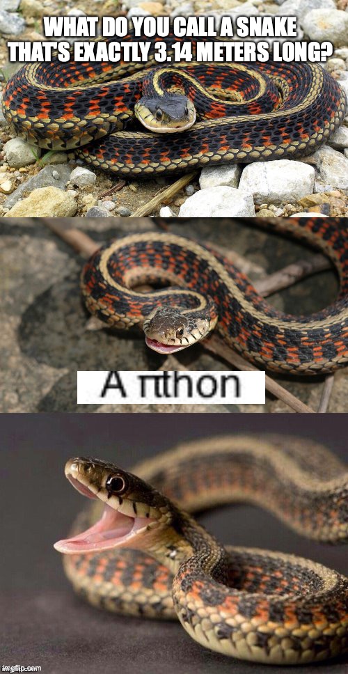 pun snake | WHAT DO YOU CALL A SNAKE THAT'S EXACTLY 3.14 METERS LONG? | image tagged in snake puns | made w/ Imgflip meme maker