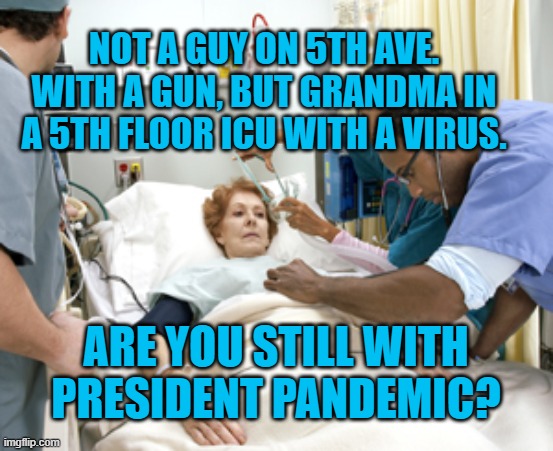 President Pandemic's Base | NOT A GUY ON 5TH AVE. WITH A GUN, BUT GRANDMA IN A 5TH FLOOR ICU WITH A VIRUS. ARE YOU STILL WITH PRESIDENT PANDEMIC? | image tagged in politics | made w/ Imgflip meme maker
