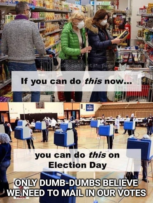 There's a reason the Democrats want mail in voting. And it isn't to protect you from a virus. | ONLY DUMB-DUMBS BELIEVE WE NEED TO MAIL IN OUR VOTES | image tagged in politics,election 2020,voting | made w/ Imgflip meme maker