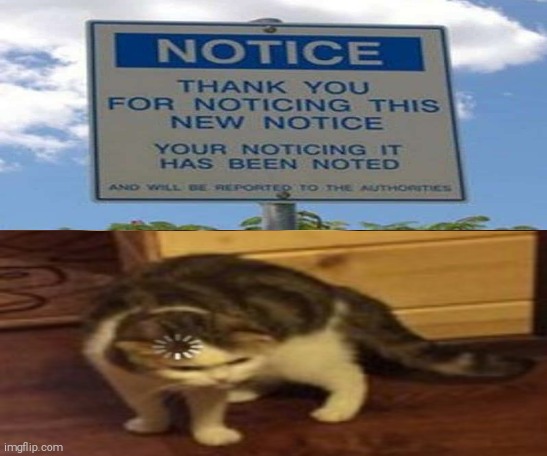 NOTICE | image tagged in you don't say,captain obvious,loading cat,notice,sign,cat | made w/ Imgflip meme maker