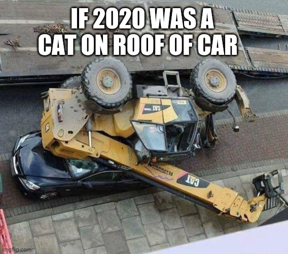 If 2020 | IF 2020 WAS A CAT ON ROOF OF CAR | image tagged in memes,2020,cat | made w/ Imgflip meme maker