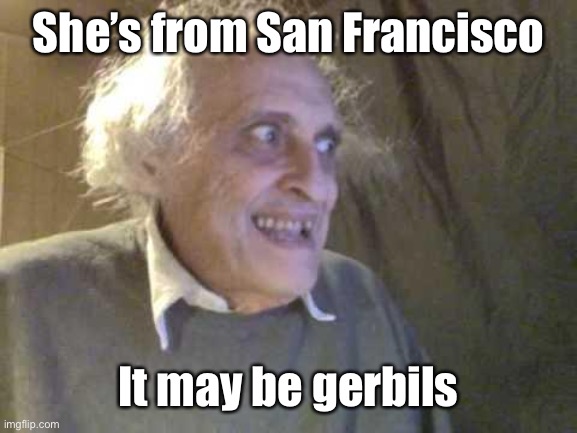 Old Pervert | She’s from San Francisco It may be gerbils | image tagged in old pervert | made w/ Imgflip meme maker