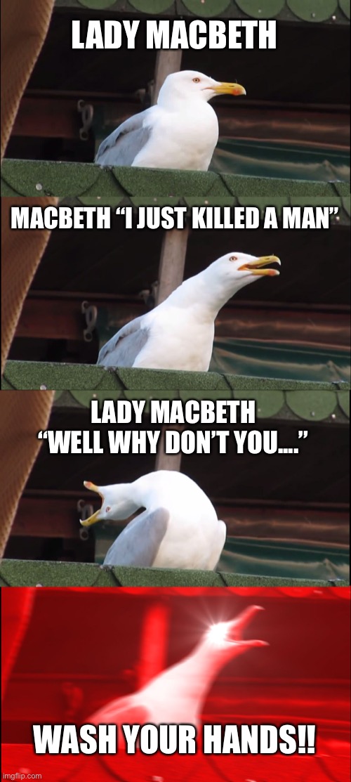 When your teacher gives you a Macbeth theme project | LADY MACBETH; MACBETH “I JUST KILLED A MAN”; LADY MACBETH “WELL WHY DON’T YOU....”; WASH YOUR HANDS!! | image tagged in memes,inhaling seagull | made w/ Imgflip meme maker