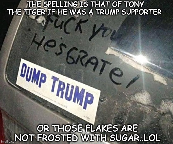 dump trump | THE SPELLING IS THAT OF TONY THE TIGER IF HE WAS A TRUMP SUPPORTER; OR THOSE FLAKES ARE NOT FROSTED WITH SUGAR..LOL | image tagged in dumb people | made w/ Imgflip meme maker