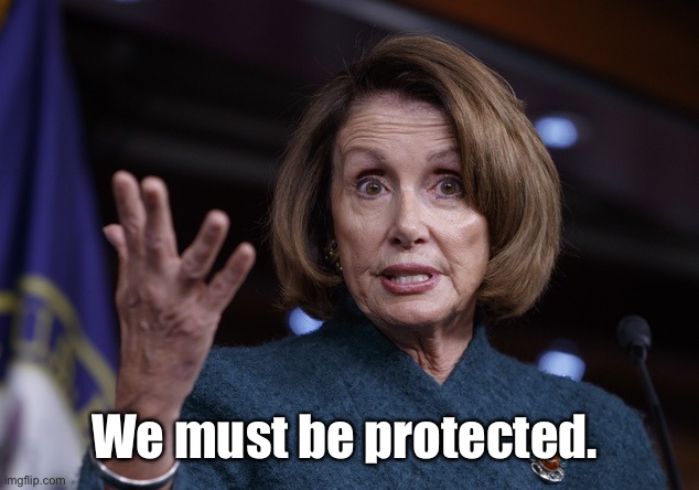 Good old Nancy Pelosi | We must be protected. | image tagged in good old nancy pelosi | made w/ Imgflip meme maker