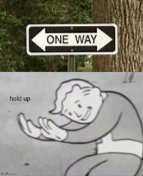 Hold Up | image tagged in fallout hold up | made w/ Imgflip meme maker