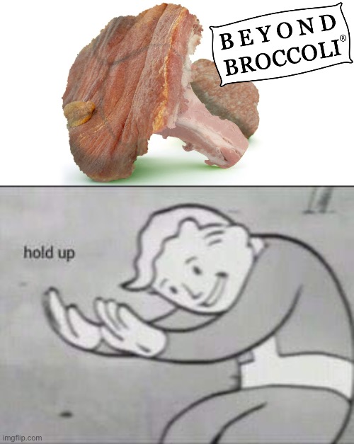Brocoli made out of meat, WTF | image tagged in fallout hold up | made w/ Imgflip meme maker