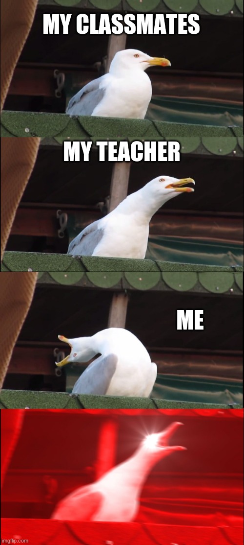 Inhaling Seagull Meme | MY CLASSMATES; MY TEACHER; ME | image tagged in memes,inhaling seagull | made w/ Imgflip meme maker