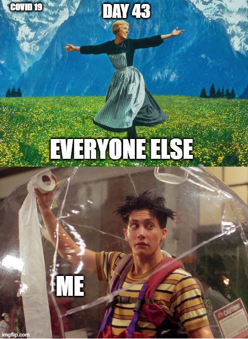 covid bubble | DAY 43; COVID 19; EVERYONE ELSE; ME | image tagged in coronavirus bubbleboy | made w/ Imgflip meme maker
