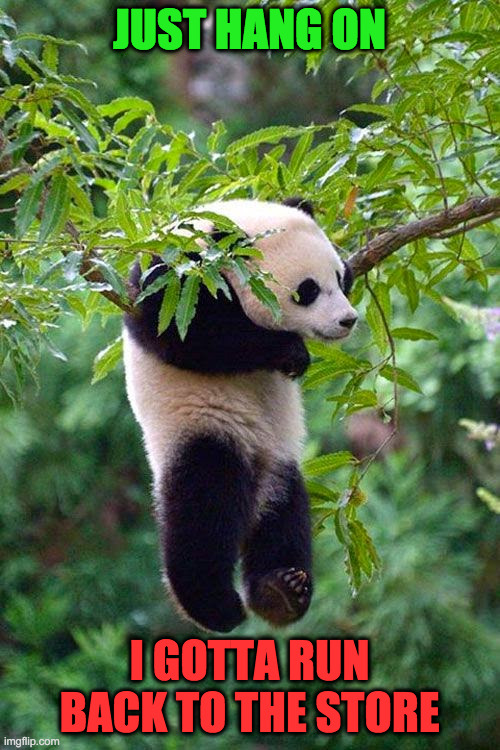 Hang On - Panda | JUST HANG ON I GOTTA RUN BACK TO THE STORE | image tagged in hang on - panda | made w/ Imgflip meme maker