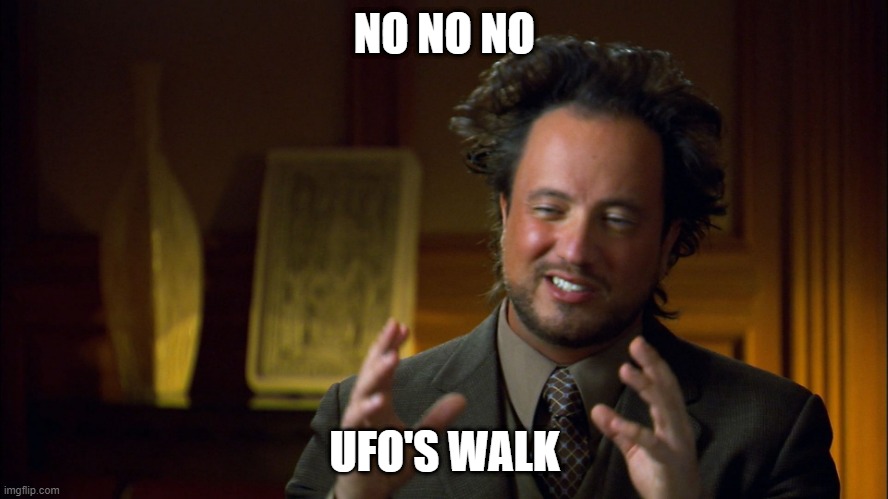 Why you shouldn't go to work | NO NO NO; UFO'S WALK | image tagged in ufologist | made w/ Imgflip meme maker