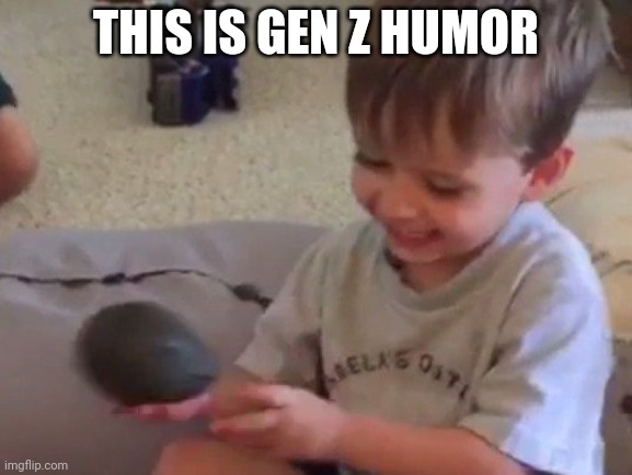 Avacado | THIS IS GEN Z HUMOR | image tagged in avacado | made w/ Imgflip meme maker