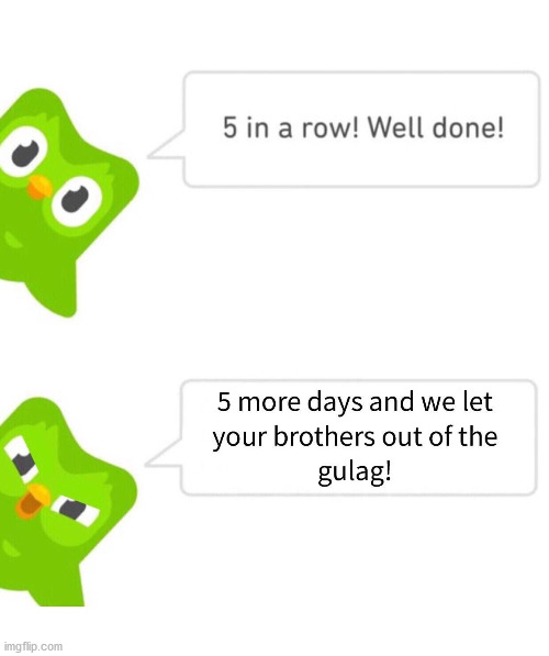 Im need to stop making duolingo memes | image tagged in duolingo | made w/ Imgflip meme maker