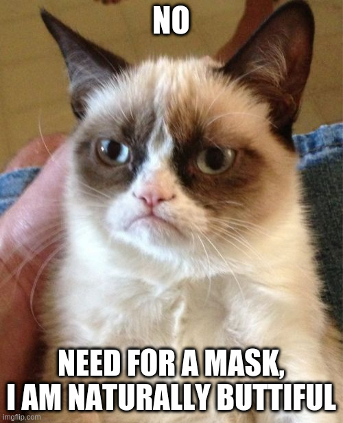 Grumpy Cat Meme | NO NEED FOR A MASK, I AM NATURALLY BUTTIFUL | image tagged in memes,grumpy cat | made w/ Imgflip meme maker