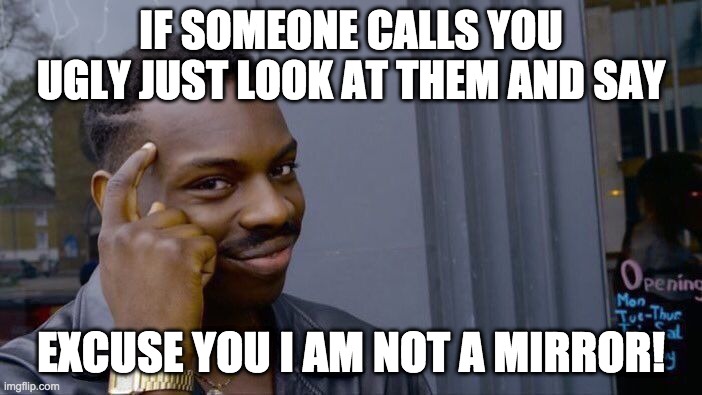 This is a great comeback | IF SOMEONE CALLS YOU UGLY JUST LOOK AT THEM AND SAY; EXCUSE YOU I AM NOT A MIRROR! | image tagged in memes,roll safe think about it | made w/ Imgflip meme maker