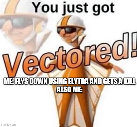 Hecktor the vector collector | ME: FLYS DOWN USING ELYTRA AND GETS A KILL
ALSO ME: | image tagged in you just got vectored | made w/ Imgflip meme maker