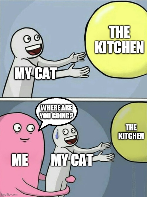v0.0.3 | THE KITCHEN; MY CAT; WHERE ARE YOU GOING? THE KITCHEN; ME; MY CAT | image tagged in memes,running away balloon | made w/ Imgflip meme maker