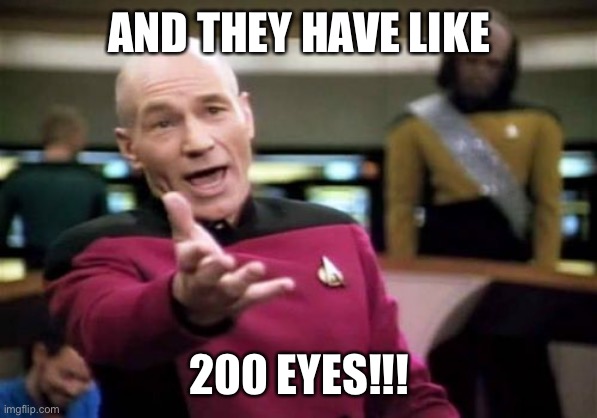 AND THEY HAVE LIKE 200 EYES!!! | image tagged in memes,picard wtf | made w/ Imgflip meme maker