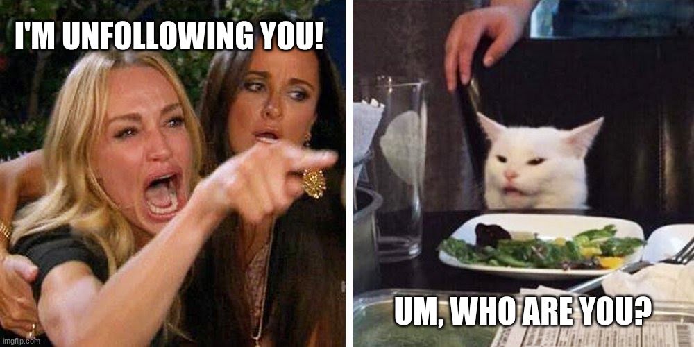 Who are you | I'M UNFOLLOWING YOU! UM, WHO ARE YOU? | image tagged in smudge the cat,angry woman,angry woman yelling at cat | made w/ Imgflip meme maker