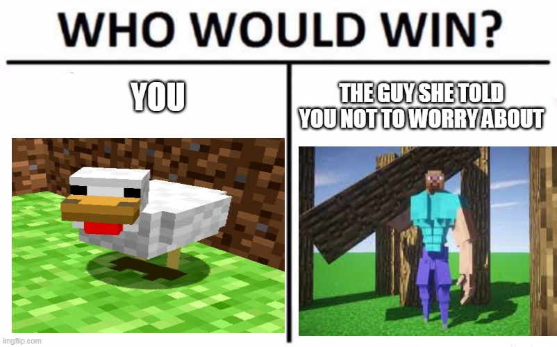 Who Would Win? | YOU; THE GUY SHE TOLD YOU NOT TO WORRY ABOUT | image tagged in memes,who would win | made w/ Imgflip meme maker