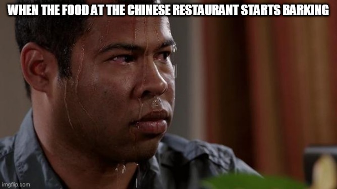 sweating bullets | WHEN THE FOOD AT THE CHINESE RESTAURANT STARTS BARKING | image tagged in sweating bullets | made w/ Imgflip meme maker