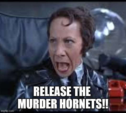austin powers |  RELEASE THE 
MURDER HORNETS!! | image tagged in memes | made w/ Imgflip meme maker