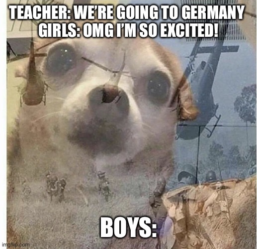 PTSD Chihuahua | TEACHER: WE’RE GOING TO GERMANY 

GIRLS: OMG I’M SO EXCITED! BOYS: | image tagged in ptsd chihuahua,girls vs boys,funny,clean memes,dogs | made w/ Imgflip meme maker