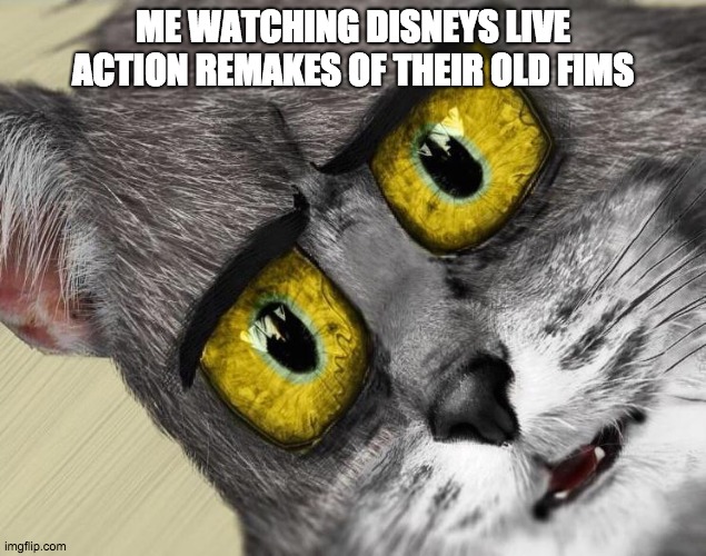 I did use this meme out of place | ME WATCHING DISNEYS LIVE ACTION REMAKES OF THEIR OLD FIMS | image tagged in unsettled tom | made w/ Imgflip meme maker