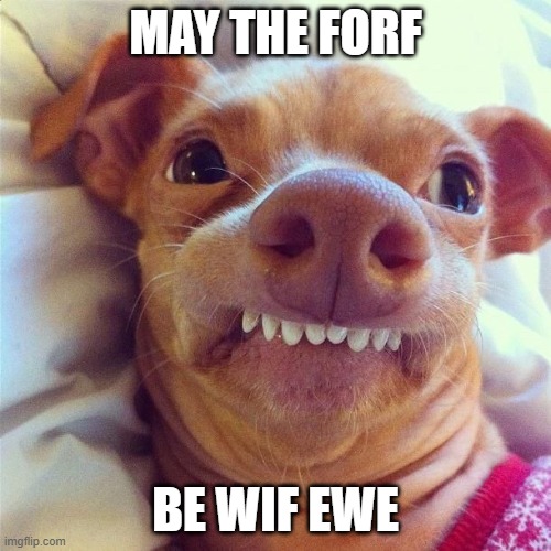 Lisp dog | MAY THE FORF; BE WIF EWE | image tagged in lisp dog | made w/ Imgflip meme maker