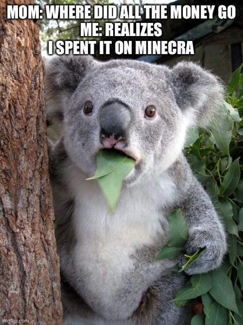 Surprised Koala Meme | MOM: WHERE DID ALL THE MONEY GO
ME: REALIZES I SPENT IT ON MINECRAFT | image tagged in memes,surprised koala | made w/ Imgflip meme maker