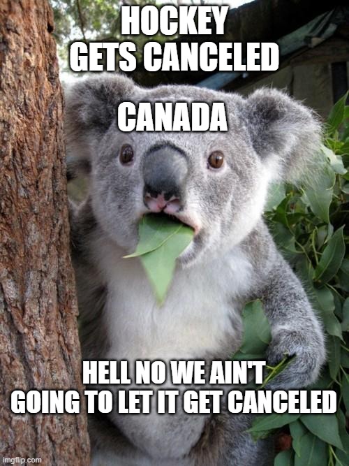 Surprised Koala | HOCKEY GETS CANCELED; CANADA; HELL NO WE AIN'T GOING TO LET IT GET CANCELED | image tagged in memes,surprised koala | made w/ Imgflip meme maker