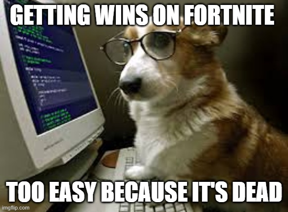 coding k9 | GETTING WINS ON FORTNITE; TOO EASY BECAUSE IT'S DEAD | image tagged in coding k9 | made w/ Imgflip meme maker