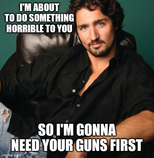 Justin Trudeau hunk | I'M ABOUT TO DO SOMETHING HORRIBLE TO YOU; SO I'M GONNA NEED YOUR GUNS FIRST | image tagged in justin trudeau hunk | made w/ Imgflip meme maker
