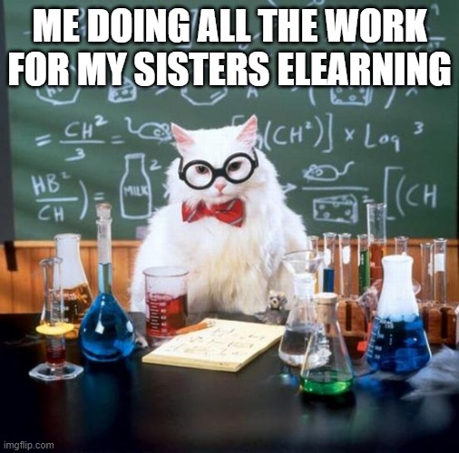 Chemistry Cat | ME DOING ALL THE WORK FOR MY SISTERS ELEARNING | image tagged in memes,chemistry cat | made w/ Imgflip meme maker