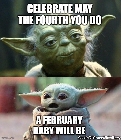 May Baby Birth | CELEBRATE MAY THE FOURTH YOU DO; A FEBRUARY BABY WILL BE; SeedsOfGraceMidwifery | image tagged in memes,star wars yoda | made w/ Imgflip meme maker