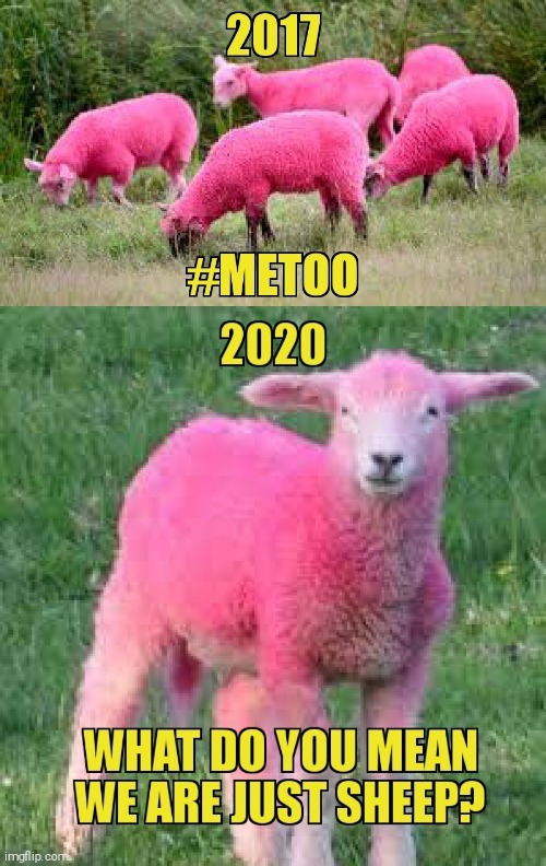 FEEL USED YET ? | image tagged in me too,pink sheep | made w/ Imgflip meme maker