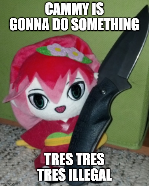 Knife Camellia | CAMMY IS GONNA DO SOMETHING TRES TRES TRES ILLEGAL | image tagged in knife camellia | made w/ Imgflip meme maker