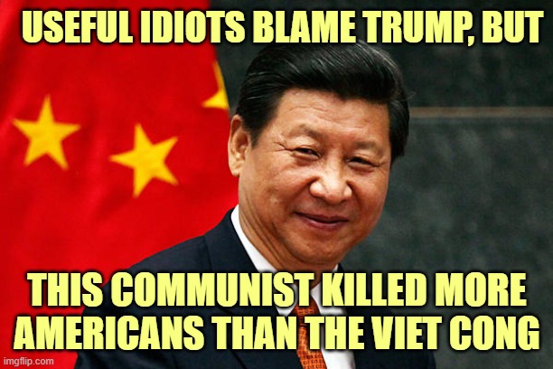 Xi Jinping | USEFUL IDIOTS BLAME TRUMP, BUT THIS COMMUNIST KILLED MORE
AMERICANS THAN THE VIET CONG | image tagged in xi jinping | made w/ Imgflip meme maker