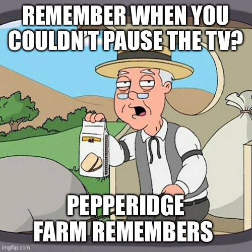 Pepperidge Farm Remembers | REMEMBER WHEN YOU COULDN’T PAUSE THE TV? PEPPERIDGE FARM REMEMBERS | image tagged in memes,pepperidge farm remembers | made w/ Imgflip meme maker