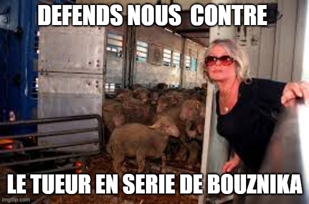 moroccan beast | DEFENDS NOUS  CONTRE; LE TUEUR EN SERIE DE BOUZNIKA | image tagged in black sheep | made w/ Imgflip meme maker