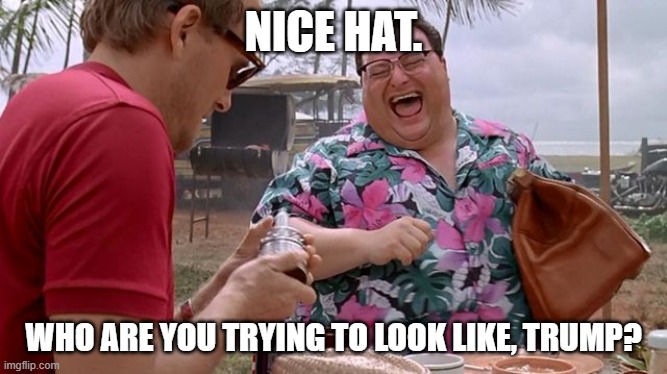 Dennis Nedry | NICE HAT. WHO ARE YOU TRYING TO LOOK LIKE, TRUMP? | image tagged in dennis nedry,memes,funny memes,donald trump,trump,jurassic park | made w/ Imgflip meme maker