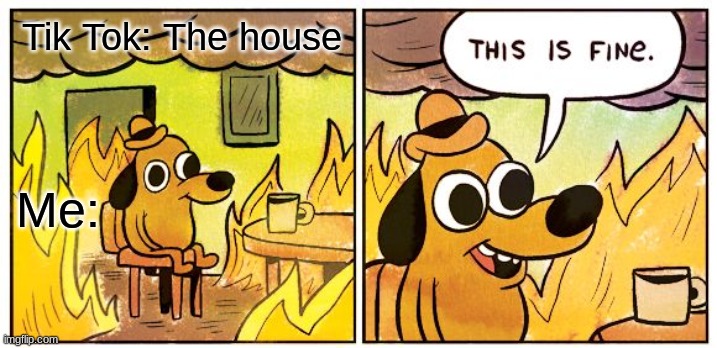 This Is Fine | Tik Tok: The house; Me: | image tagged in memes,this is fine | made w/ Imgflip meme maker